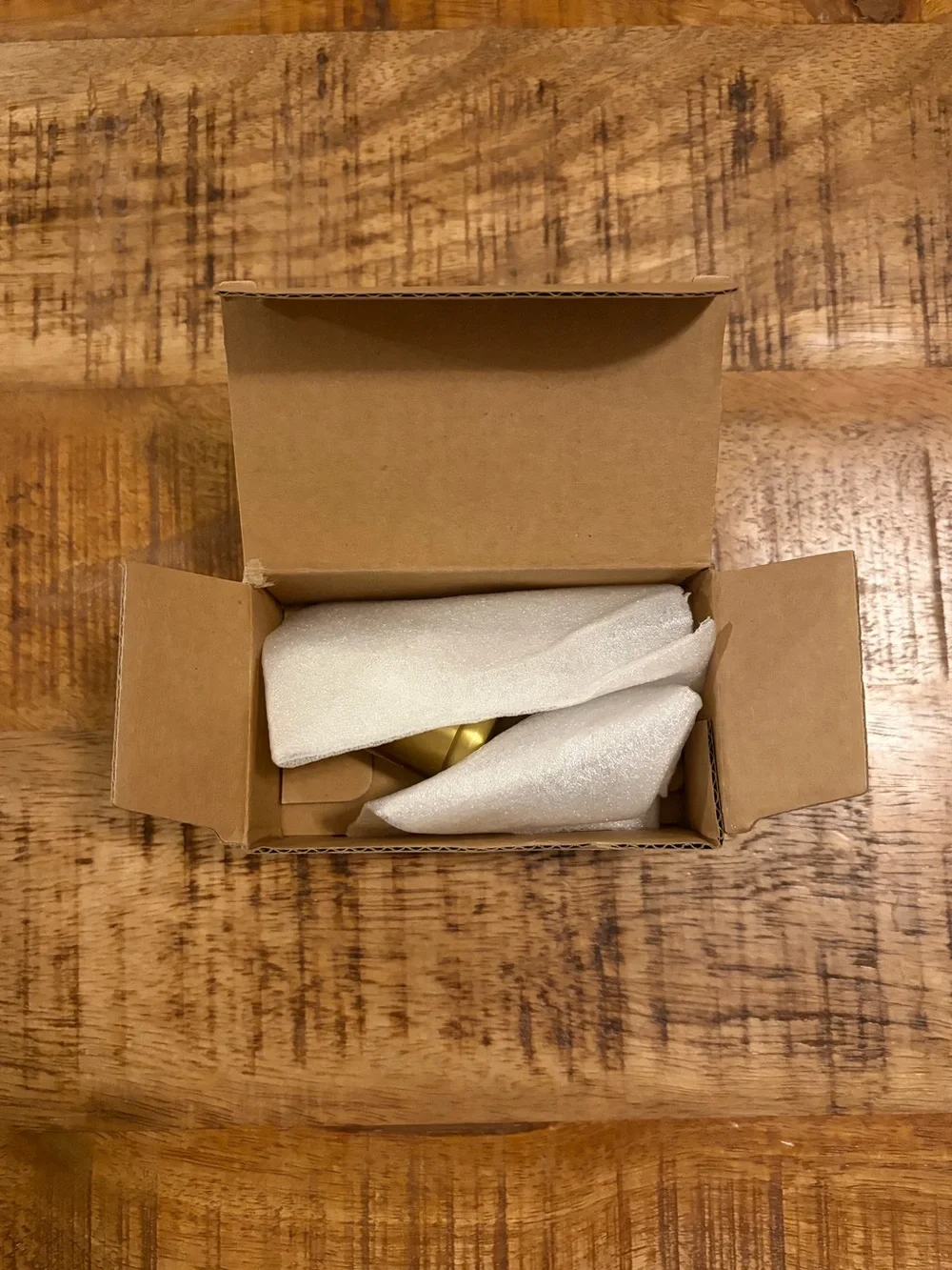 NEW Schoolhouse Remy Single Hook Natural Brass